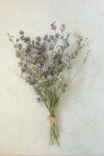 Dried larkspur bunch, vintage lilac, RTS