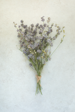 Dried larkspur bunch, vintage lilac, RTS