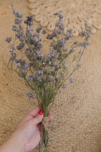 Dried larkspur bunch, vintage lilac, RTS