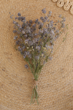 Dried larkspur bunch, vintage lilac, RTS