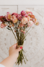 Dried strawflower bunch, dark pink mix,  RTS