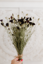 Dried cornflower bunch, burgundy, plum, dark,  RTS
