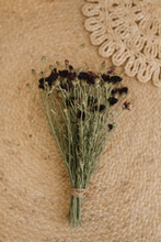 Dried cornflower bunch, burgundy, plum, dark,  RTS