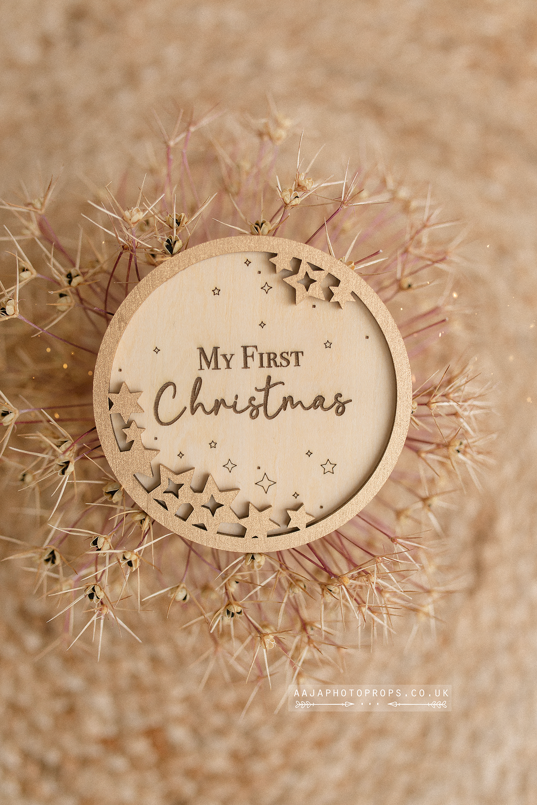 Wooden round plaque with 'My First Christmas' text surrounded by dried flowers on a beige background. 10cm wooden disc. With gold stars and Engraving. My first Christmas photo prop.