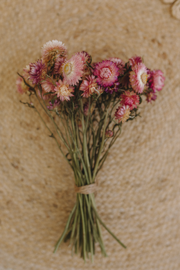 Dried strawflower bunch, dark pink mix,  RTS