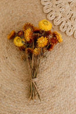 Dried orange yellow strawflower bunch, vibrant, RTS