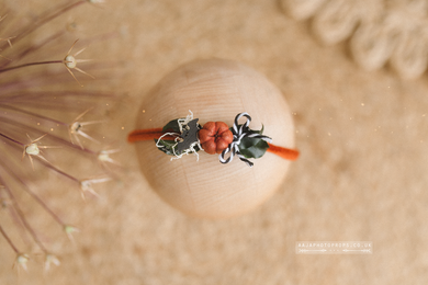 Baby halloween bat, pumpkin, tieback, black, orange, RTS