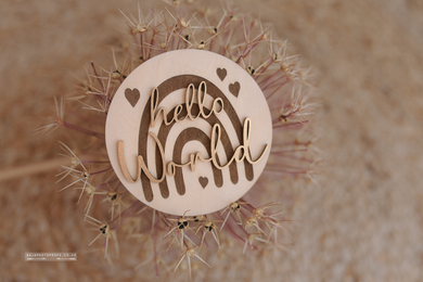 Wooden disc Hello World, baby, rainbow, hearts, RTS