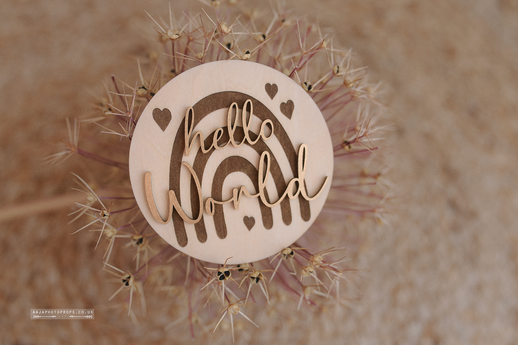 Wooden disc Hello World, baby, rainbow, hearts, RTS