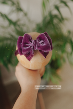 Purple velvet bow on a wooden headband held by a hand with a blurred green plant background.