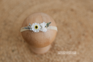 Baby newborn girl tieback, dried flowers, white, cream, daisy, strawflower, RTS