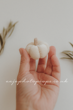 Mini velvet pumpkin, boho, halloween, cream, RTS
