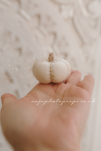 Mini velvet pumpkin, boho, halloween, cream, RTS