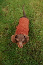 Mini Dachshund sweater, fluffy rust,  hand knitted, made to order