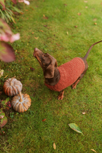 Mini Dachshund sweater, fluffy rust,  hand knitted, made to order
