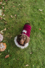 Mini Dachshund sweater, hand knitted, made to order