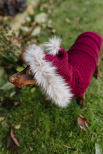 Mini Dachshund sweater, hand knitted, made to order